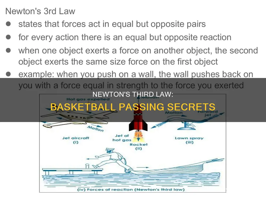 how does newton