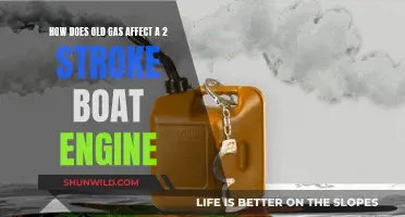 Old Gas and 2-Stroke Boat Engines: What's the Harm?