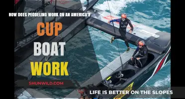 Unraveling the Mechanics: Pedaling Power in America's Cup Racing