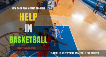 Plyometrics: Powering Basketball Performance