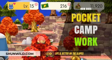 Understanding Pocket Camp: Gameplay Mechanics and Features Explained