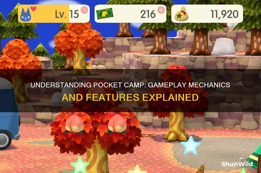 how does pocket camp work