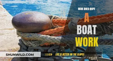 The Intriguing Mechanics of Rope-a-Boat Systems