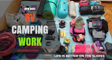 RV Camping 101: A Beginner's Guide to Life on the Road