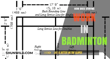 Understanding Badminton's Serving Rules