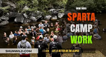 Sparta Camp Explained: Training, Benefits, and Daily Life Unveiled