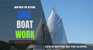 Sailing Secrets: Alcyone's Unique Design Explained