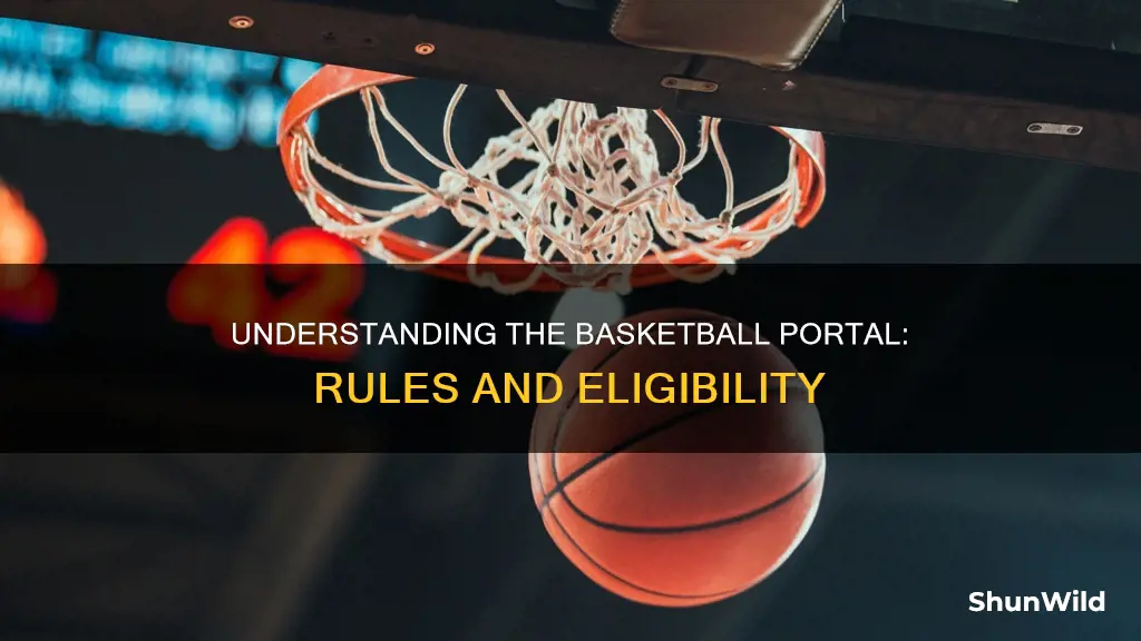 how does the basketball portal work