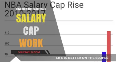 Understanding the Basketball Salary Cap System