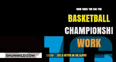 Big Ten Basketball: Championship Qualification Explained