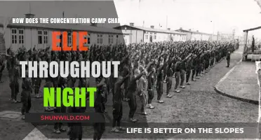 Night's Transformation: Elie's Harrowing Journey Through Concentration Camp Trauma