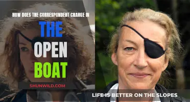 The Open Boat: Evolving Correspondents, Changing Perspectives