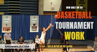 D3 Basketball Tournament: How Does It Work?