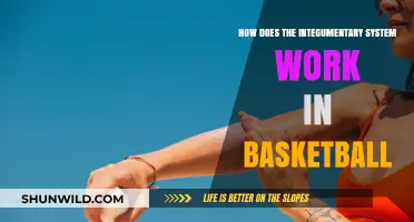 Skin Deep: Basketball's Unseen Advantage