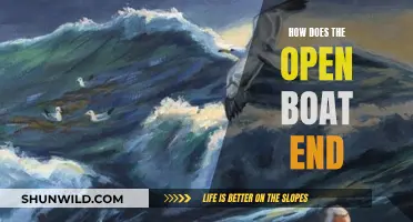 The Open Boat: A Tale of Survival and Endings