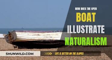 The Open Boat: Naturalism and Man Against Nature