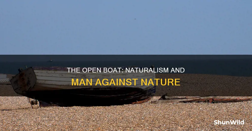 how does the open boat illustrate naturalism