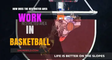 Understanding Basketball's Restricted Area: Rules and Strategies