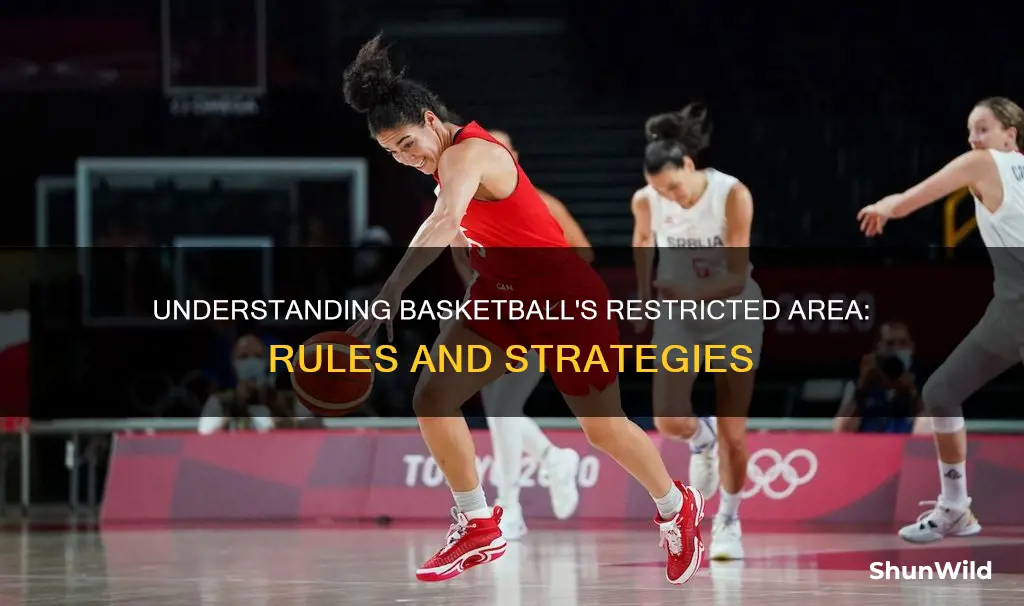 how does the restricted area work in basketball
