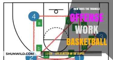 Mastering the Triangle Offense in Basketball