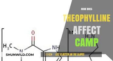 Theophylline's Impact on cAMP Signaling Pathways Explained