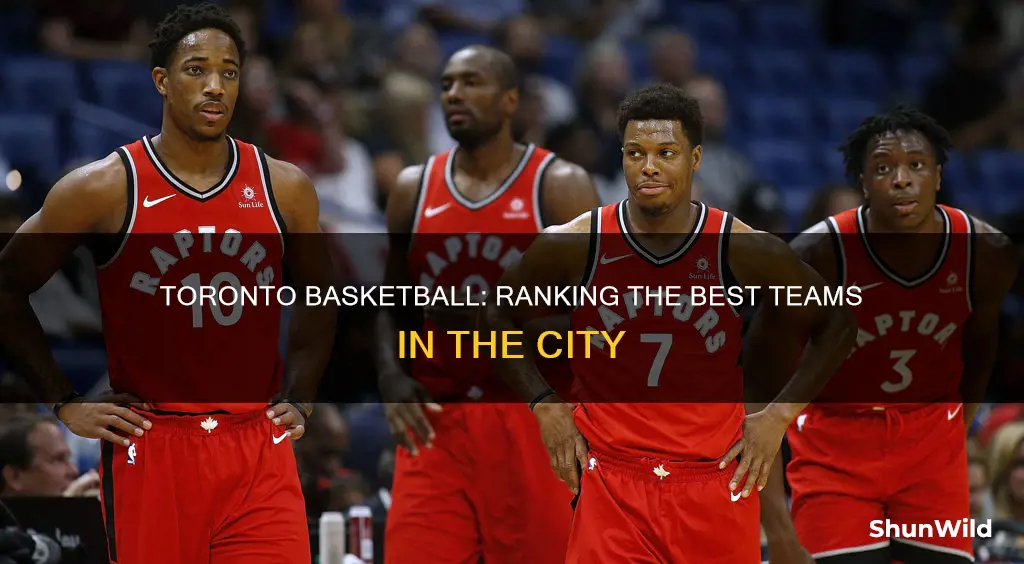 how does toranto basketball rank