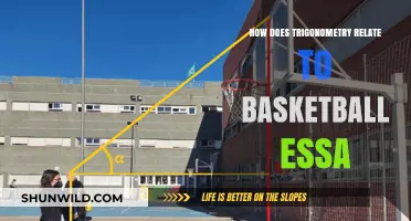 Trigonometry's Role in Basketball Success