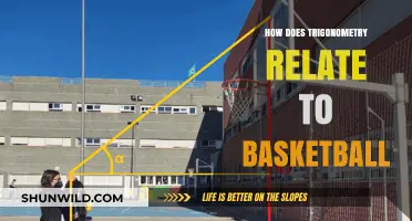 Trigonometry's Role in Basketball: Angles, Shots, and Strategies
