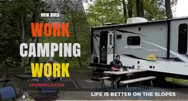 Exploring Work Camping: How It Works and Benefits for Travelers