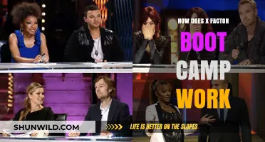 X Factor Boot Camp Explained: Process, Challenges, and Selection Criteria