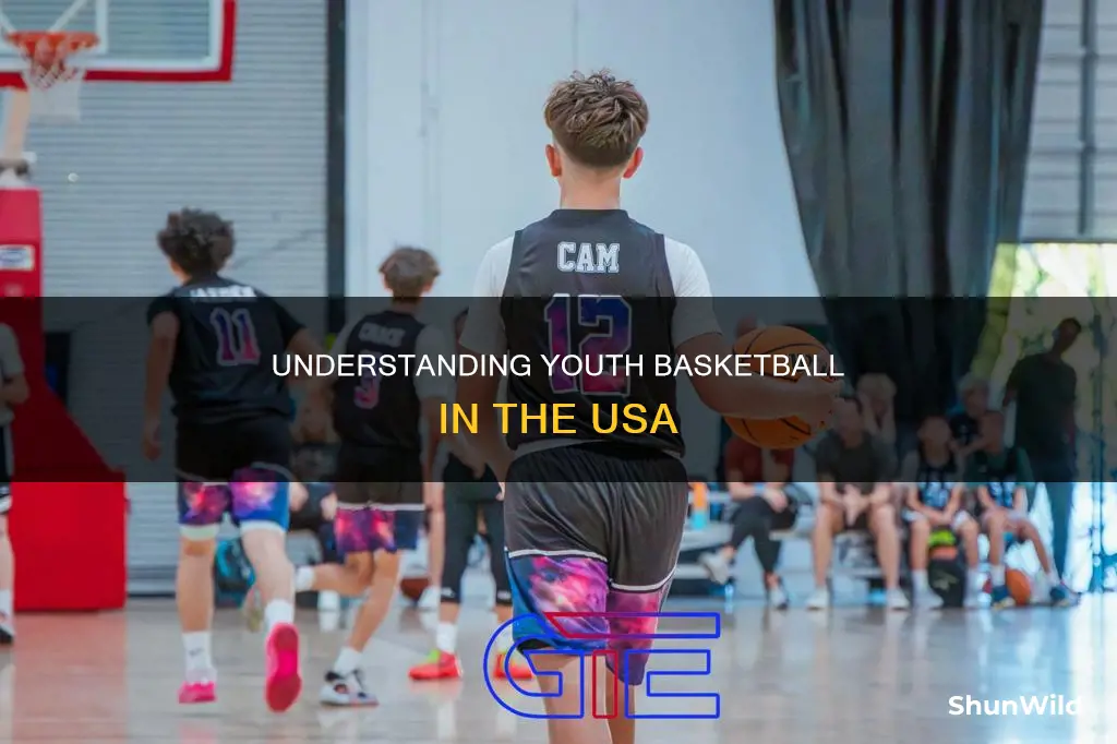 how does youth basketball work in the usa