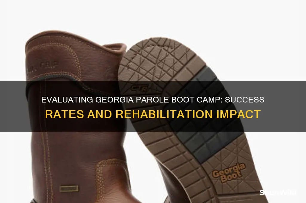 how effective are ga parole boot camp
