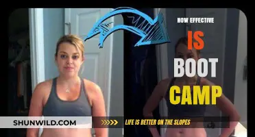 Boot Camp Effectiveness: Transformative or Temporary? Unpacking the Results
