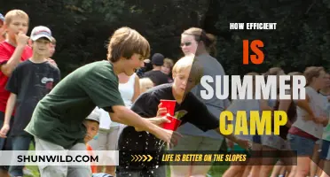 Maximizing Summer Camp Efficiency: Benefits, Impact, and Value for Kids