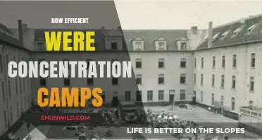 Analyzing the Operational Efficiency of Concentration Camps: A Historical Perspective