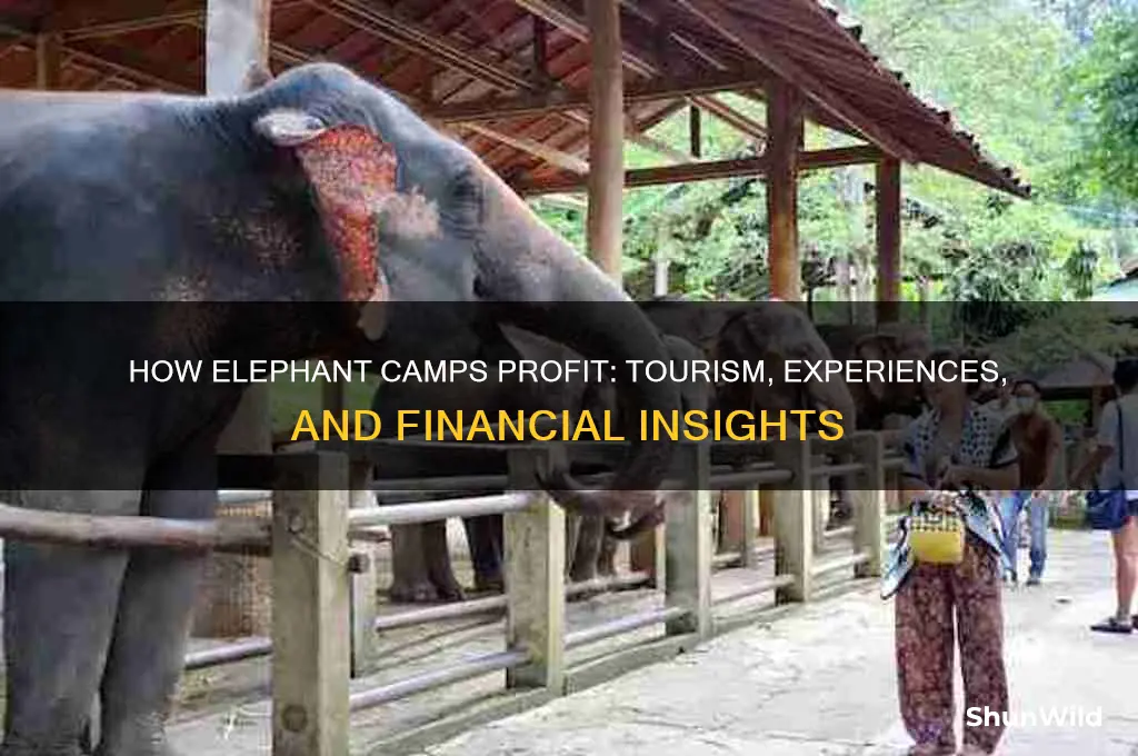how elephant camps make money