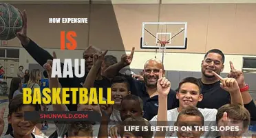 AAU Basketball: A Costly Commitment for Aspiring Players