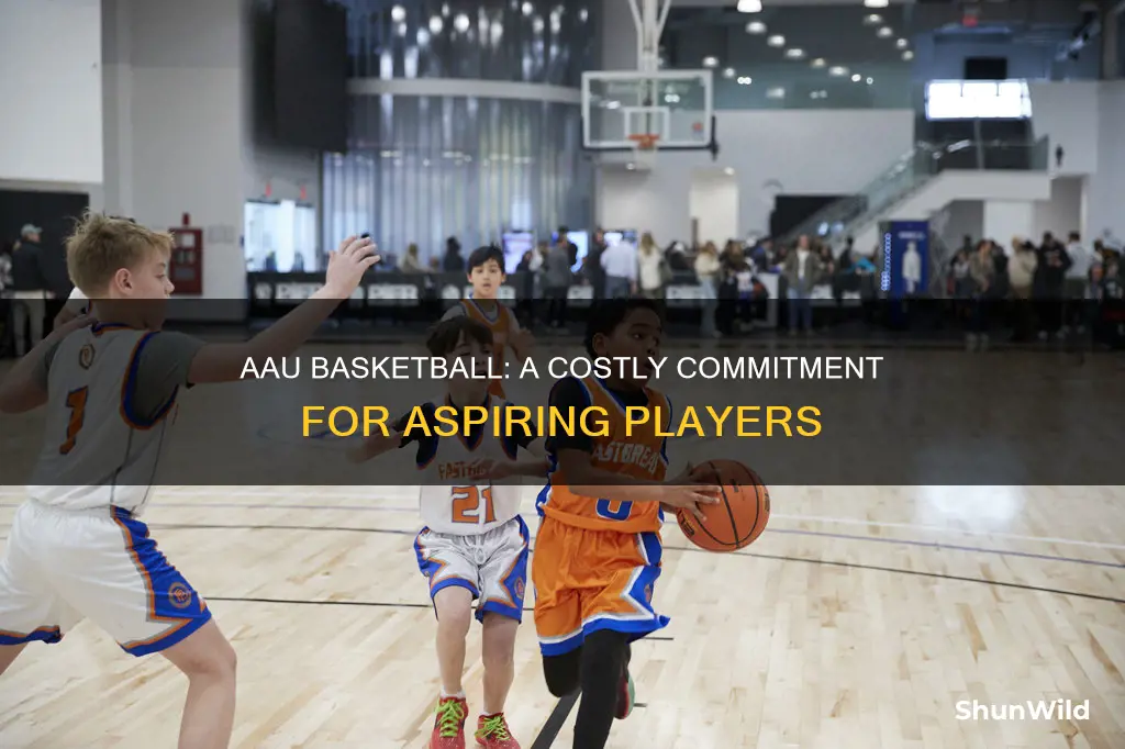 how expensive is aau basketball