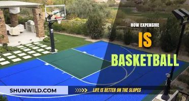 The True Cost of Basketball: Expensive Passion or Hobby?