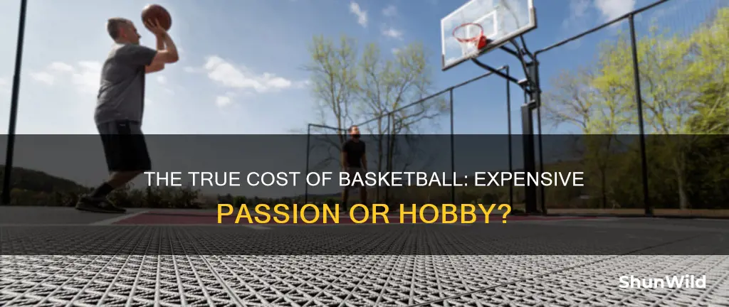 how expensive is basketball