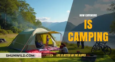 Camping Costs Unveiled: Budget-Friendly or Pricey Adventure?