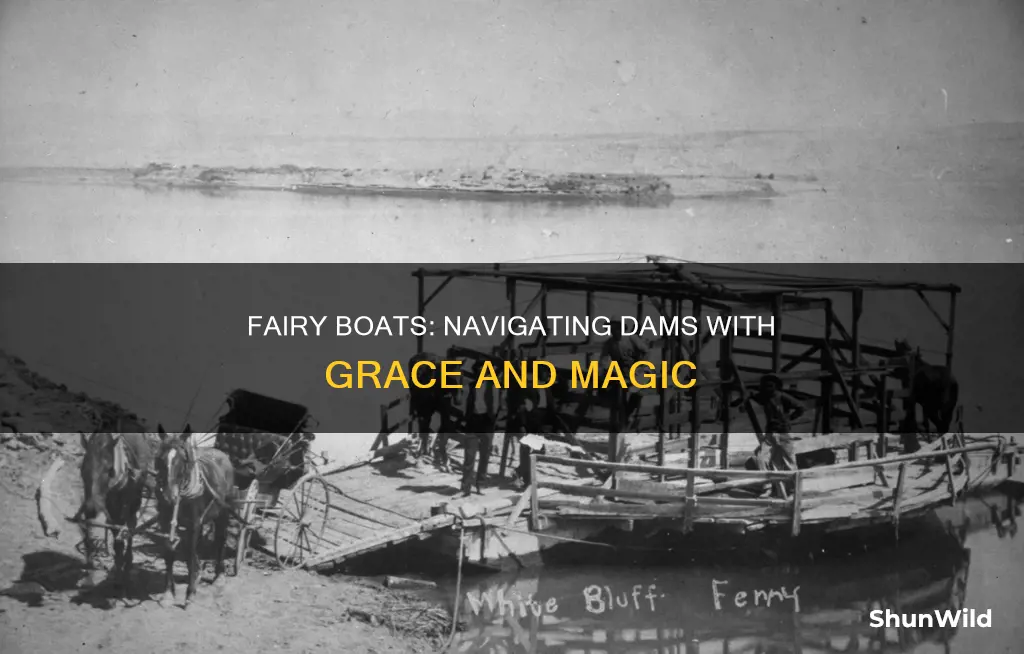 how fairy boat go through dams