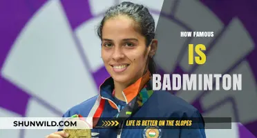 Badminton's Global Popularity: A Sport for All