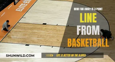 The 3-Point Line: How Far is Too Far?