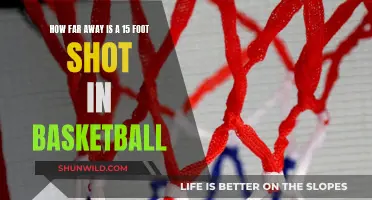 The Sweet Spot: 15-Footers in Basketball