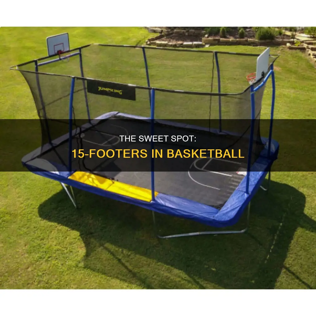 how far away is a 15 foot shot in basketball