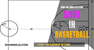 Foul Shots: Mastering the Basketball Free Throw Distance
