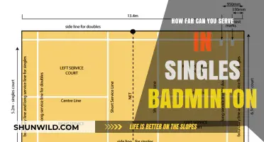 Understanding the Singles Badminton Court and Serve Rules