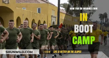 Marines' Boot Camp Running Distances: Unveiling the Physical Demands