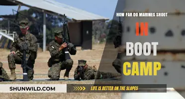 Marine Boot Camp Rifle Training: Shooting Distances and Skills Explained